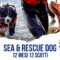 Sea & Rescue Dog Contest 2023